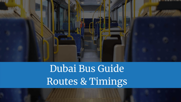 Dubai Bus Guide