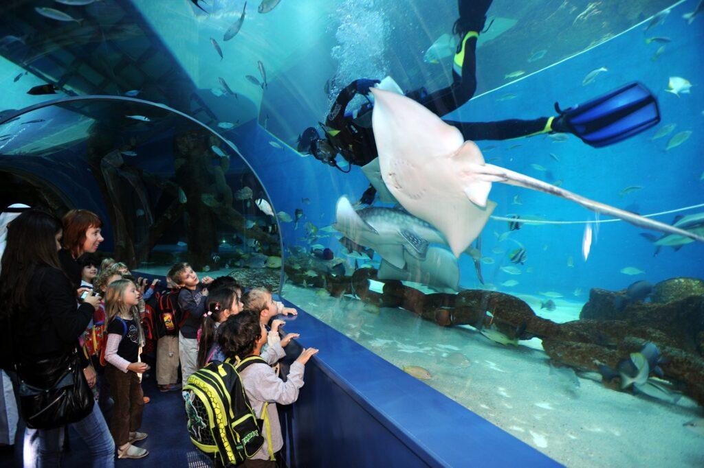 Wonderous Sharjah Aquarium