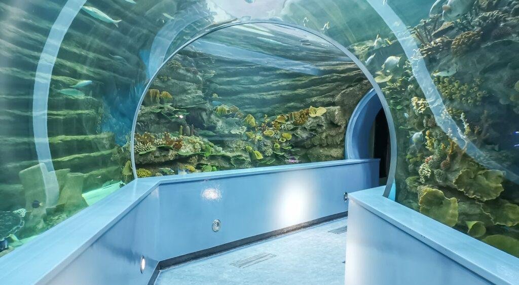 Explore Sharjah Aquarium: Discover the Underwater Wonders