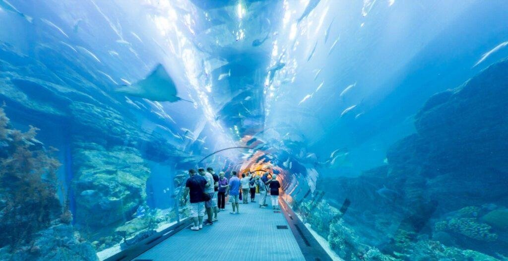 Underwater Wonderland
