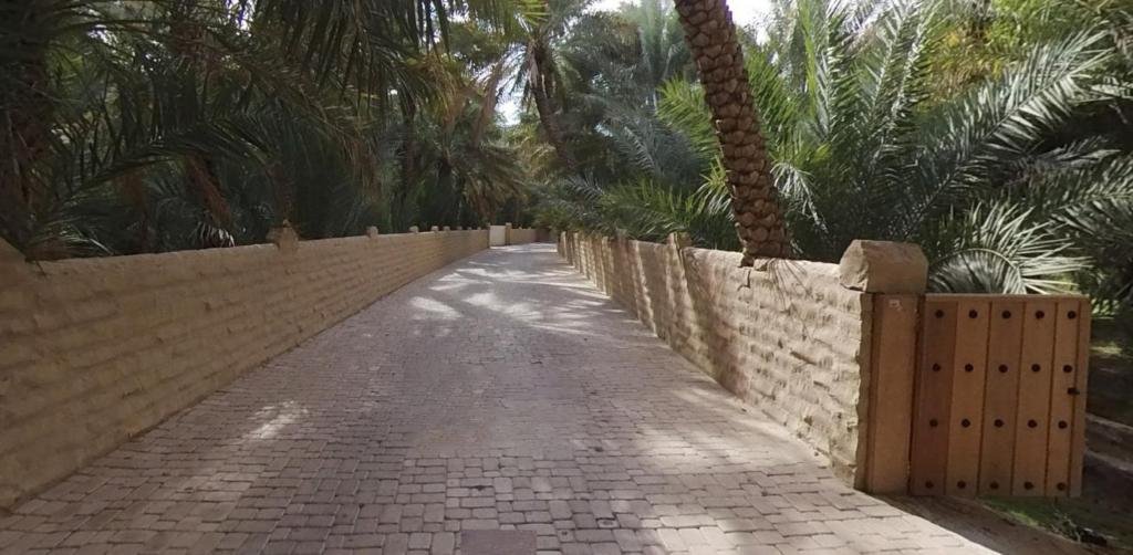 Al Ain Oasis