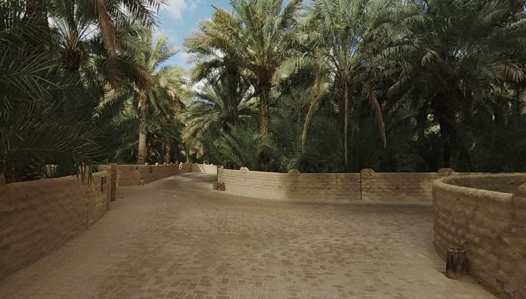 Al Ain Oasis