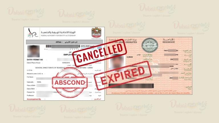 UAE Amnesty 2024 A Fresh Start for Expats